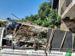 Same-Day Junk Removal Services in Lakeland Village, CA